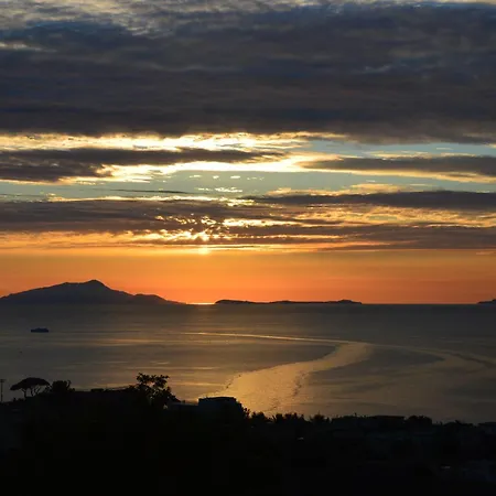 Cristina Sant'Agnello