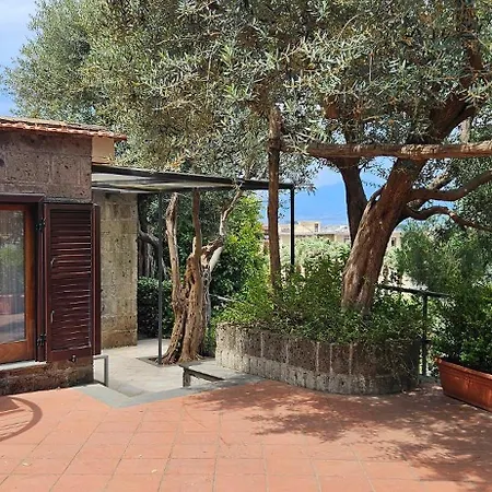 Cristina Sant'Agnello