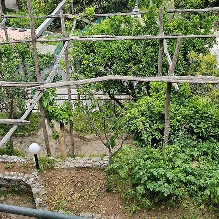 Cristina Sant'Agnello
